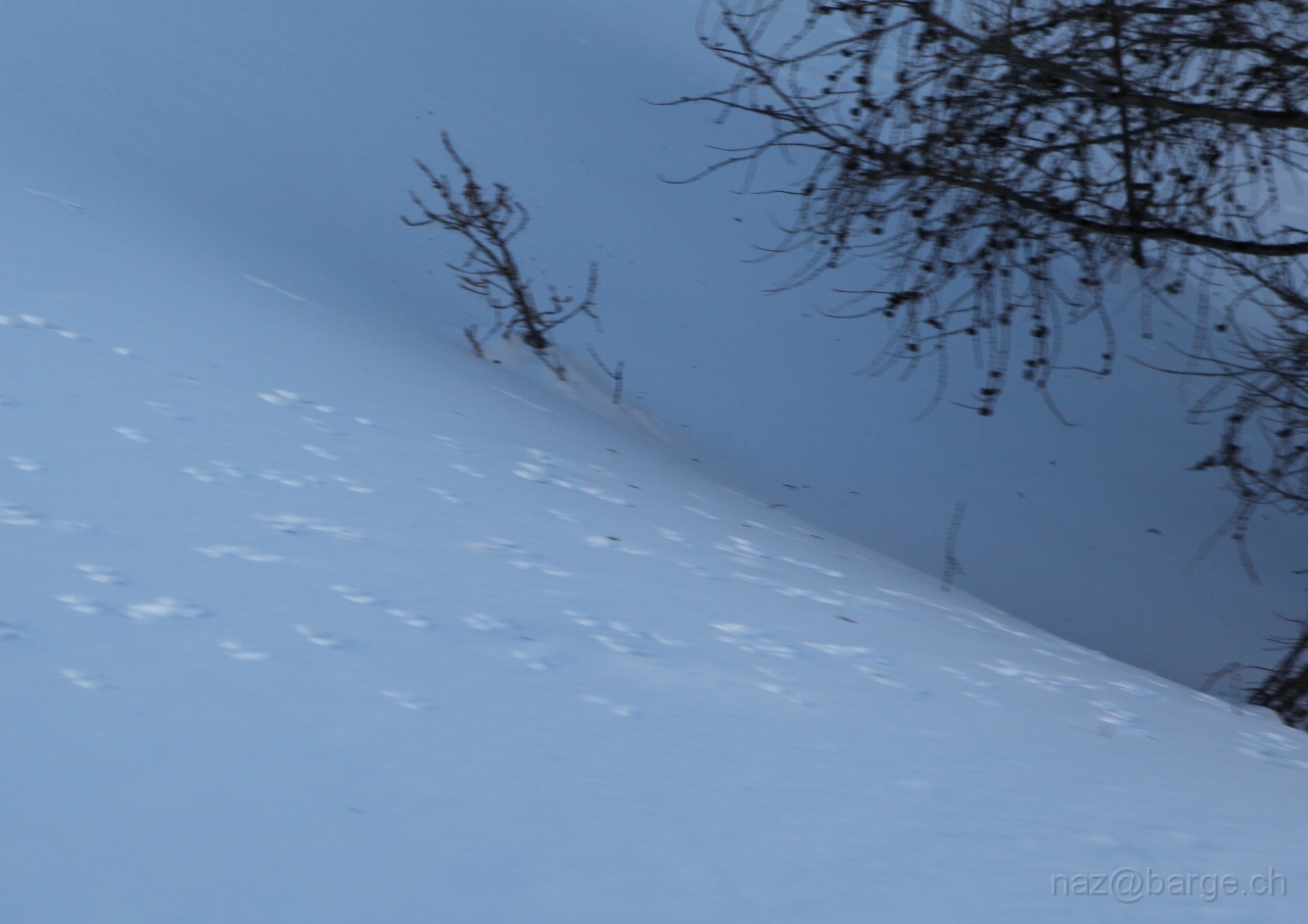 EOS 5D Mark II15_01_20120070.JPG